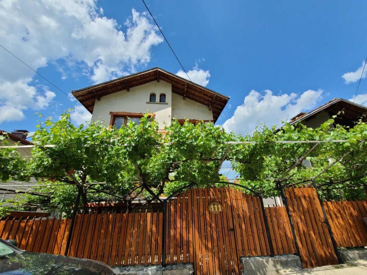 Вила 111 Sapareva Banya Exterior photo